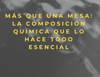 Más que una mesa: La composición química que lo hace todo esencial
