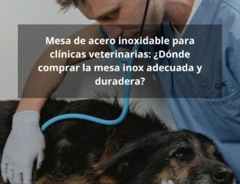 Mesa de acero inoxidable para clínicas veterinarias: ¿Dónde comprar la mesa inox adecuada y duradera?